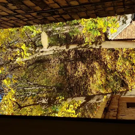 Διαμέρισμα Mountain Κάουνας